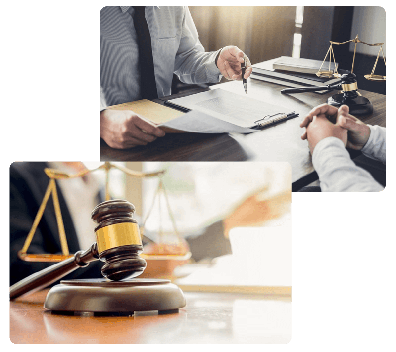 Advocate Radha Chaudhary